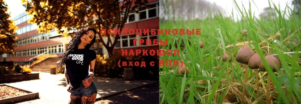 трава Белая Холуница